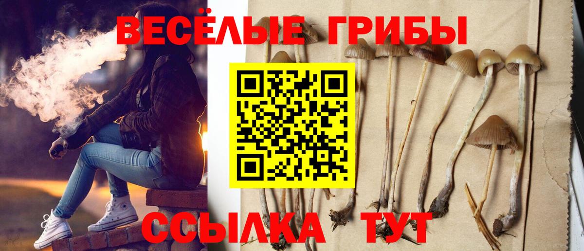 Галлюциногенные грибы мицелий Шебекино