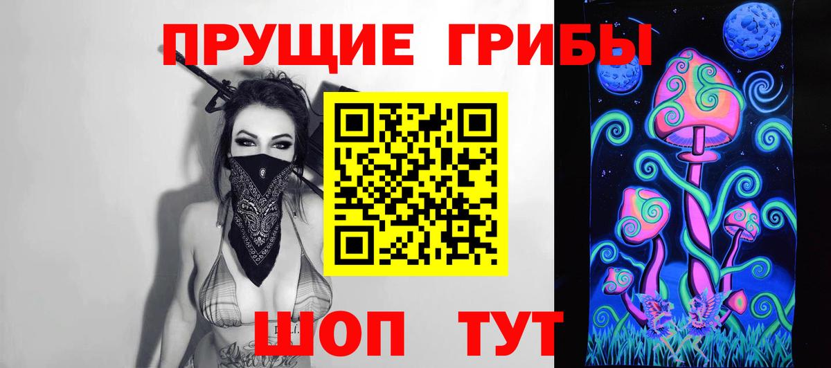 Псилоцибиновые грибы GOLDEN TEACHER  Вход с VPN  Шебекино 