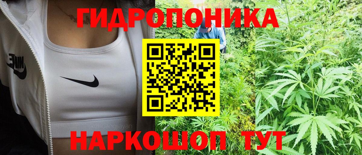 МАРИХУАНА конопля  Конопля конопля  Вход с VPN  Конопля конопля  Шебекино  Бошки марихуана тримм 